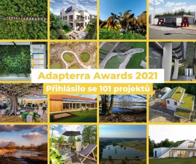 Adapterra Awards 2021